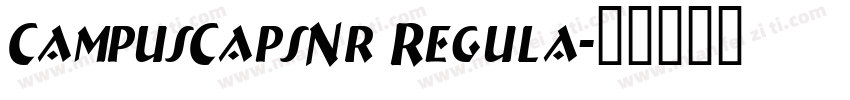 CampusCapsNr Regula字体转换
